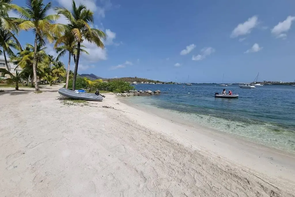 Superbe Studio Lumineux, Vue Sur Piscine Et Mer Baie Nettle